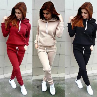 China High Quality QUICK DRY Casual Sports Fleece Long Sleeve Solid Color 2pcs Set Women Winter Tracksuit Top And Pants Sport Sweatsuit Set for sale