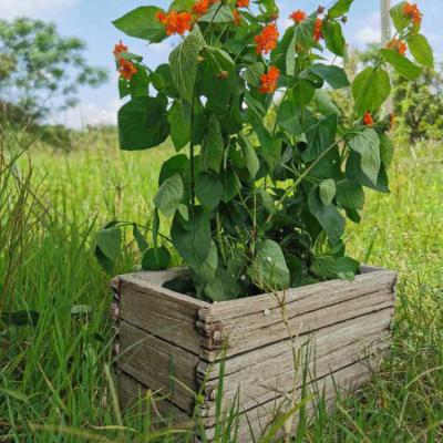 China Durable Indoor Outdoor Flower Pot Planter MgO2 Environmental Friendly Material Flower Pot for sale