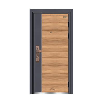 China Cheap Price Heat Proof Metal Security Modern Steel Doors New Design for sale