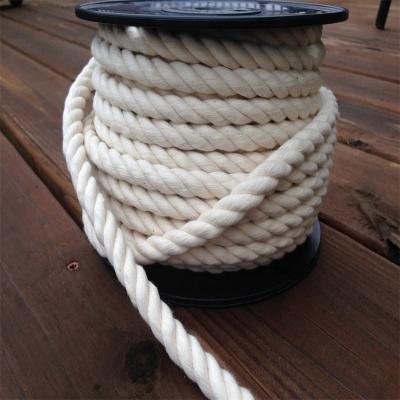 China Uhmwpe Braided Surfing Line Paragliding Kite Line Customized Size for sale