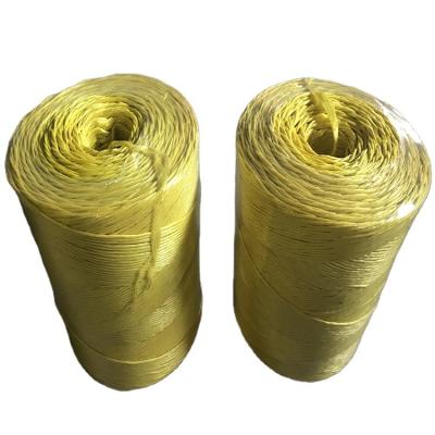 China PP Agriculture Garden Raffia Twist Size Customized for sale