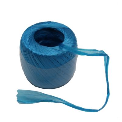 China Colorful PP Film Raffia Twine Customized Size for sale