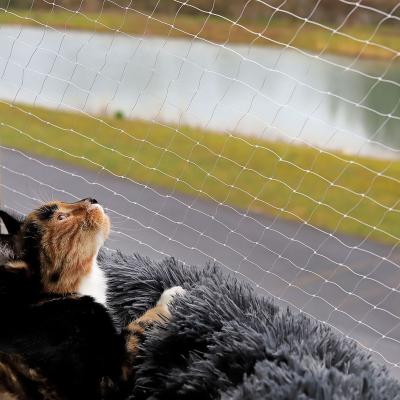 China Balcony Stocked Plastic Safety Net For Cats Black Pe With Steel Wire Prevent Cat Bites for sale