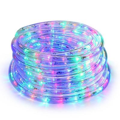 China Steady Top And Twinkle Holiday Mulit LED Rope Light for sale