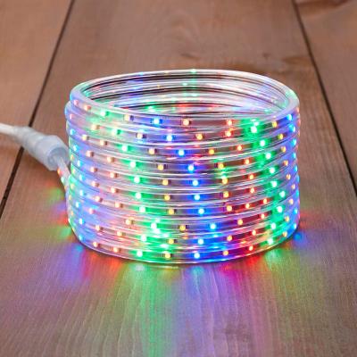 China Steady On And Twinkle Multi Flexible Holiday LED Strip Lights for sale