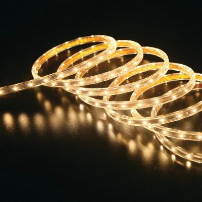 China Steady On And Twinkle Warm White Flexible Holiday LED Strip Lights for sale