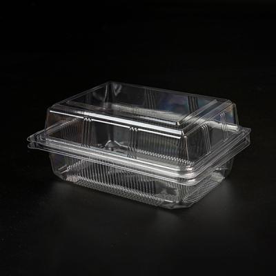 China Recyclable Rectangle Clear Plastic Storage Box Cake Packaging Container Cake Clamshell Packaging Box for sale