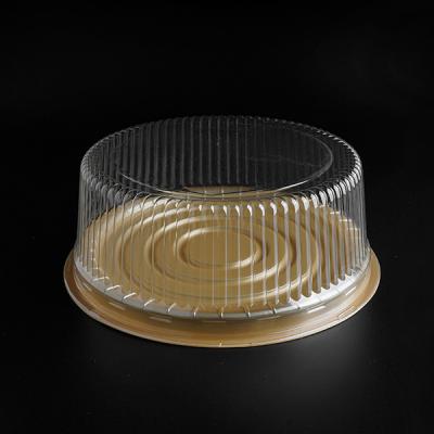 China OEM Disposable Bakery Boxes Packaging Cake Food Tray Disposable Plastic Packaging for sale