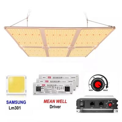 China Seed Starter Led To Grow SF6000 600w STREAMER PCB Light Panel Full Spectrum Led Tent Indoor Complete Kit Grow Lights for sale