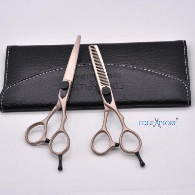 China Professional Thinning Scissors Thinning Barber Tools Set Scissors Hairdressing for sale