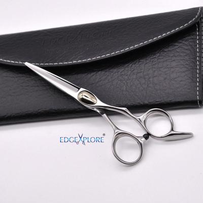 China Hair Shears Set Convex Hair Beauty Scissors Barber Hai Cutting Shears Hair Dressing Scissors for sale