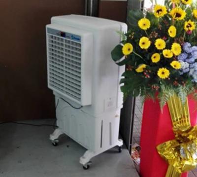 China 2022 China Breezair AC Hawaii Outdoor Fan Household Portable Cooler Air Fan for sale