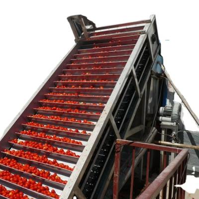 China 200 TPD Tomato Paste Production Line With Full Automatic Control System for sale