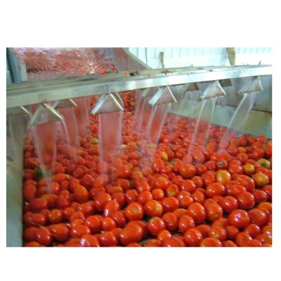 China Professional Tomato Paste Production Line for Beverage Packaging and Processing for sale