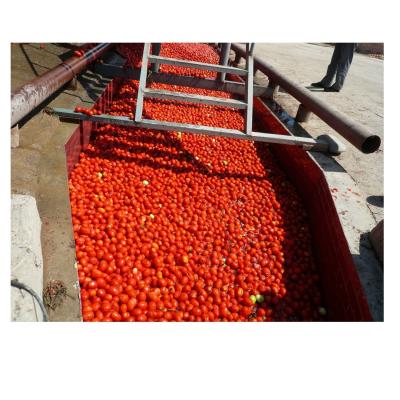 China Industrielle Tomatenpaste-Maschine Automatische Tomatenpaste-Verarbeitung Maschine hohe Leistung zu verkaufen