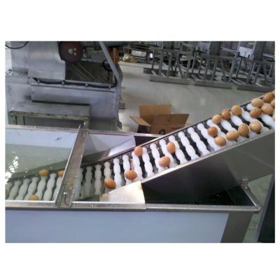 China Fatigue Resistant Automatic Egg Washing And Breaking Machine high Capacity for sale