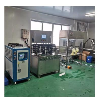 China Full Automatic 10L Pasteurizer Filling Machines For Dairy And Fruit Juice Production Line for sale