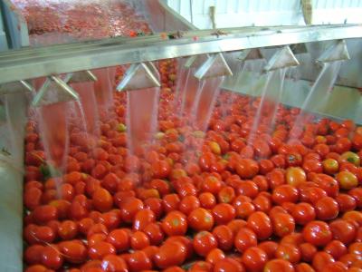 Cina produzione di pasta di pomodoro chiavi in mano 500L-20000L in vendita