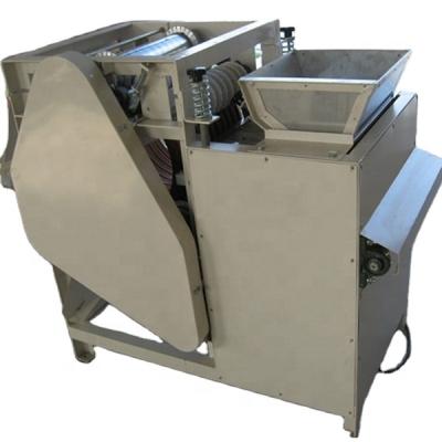 China Beverage Factory OEM Almond Peeling Machine / Almond Wet Whitener XTJ-180 for sale