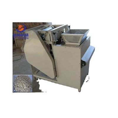 China Hot Selling Beverage Factory Almond Peeling Machine Wet Whitener Machine for sale