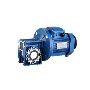 China Three phase electric motor and worm gear reducer from ABB and TPRV for sale