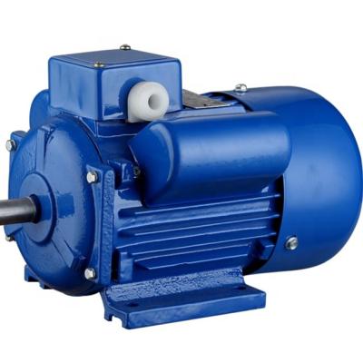 China 1450 rpm 4pole single phase enclosed electric motor, induction motor for sale