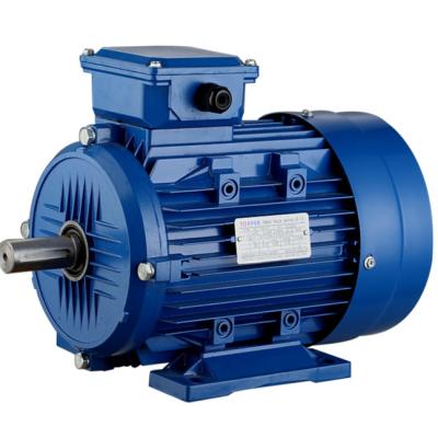 China 220/380V 230/440V 380/660V 400/690V IE2 High Efficiency Totally Enclosed Three Phase Electric Motor for sale