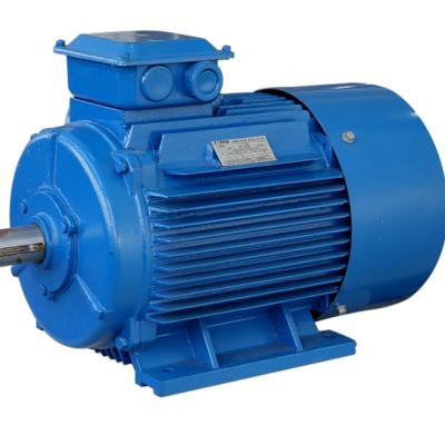 China Y2 Series 100HP Totally Enclosed Three Phase Asynchronous Induction Motor for sale