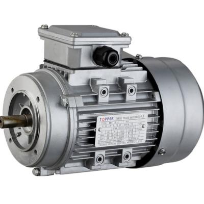 China MS Series Fully Enclosed 0.06KW 4pole Three Phase Copper Wire Aluminum Housing Asynchronous Motor for sale