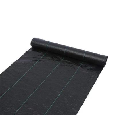 China Wholesale High Quality Hot Selling Plant Protection Ground Cloth For Swimming Pool Cover Cloth for sale