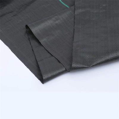 China Plant Protection Factory Price Best Ground Quilt Cloth Cover Pool Sale Cloth for sale