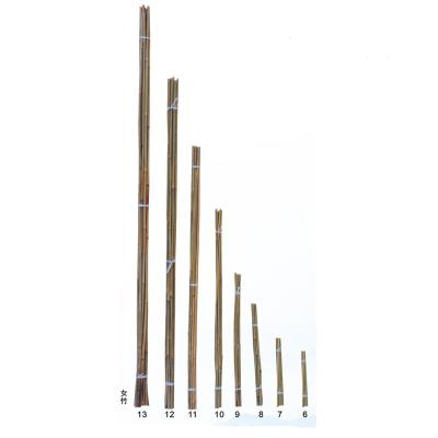 China Natural Bamboo Stake Cane Pole Easily Assembled Bamboo Raw Material for sale