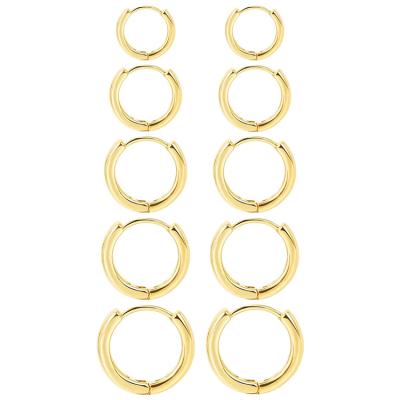 China Wowshow 5Pairs Eco-Friendly Small Hoop Earrings For Women Men Hypoallergenic Round Cartilage Hoop Earrings Endless Set (10/12/14/16/18mm) for sale