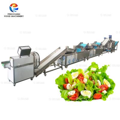 China Vegetable Salad Production Line- Vegetable Cutting Washing Dewatering Processing Line for sale