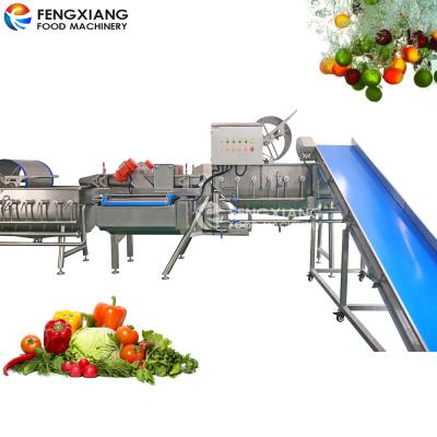 China Industrial Vegetable Processing Line Sorting Cutting Washing Dewatering Processing Line for sale