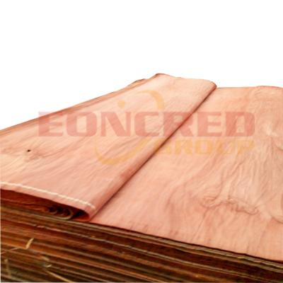 China Plywood 3x7 3x6 4x6 0.3mm bintangor face veneer for plywood for sale