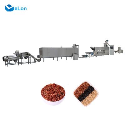 China Food industry enriched nutritional and artificial rice extruder production line making machine for food processing for sale