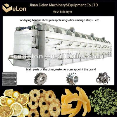 China Stainless Steel Pineapple Mesh Belt Dryer for sale