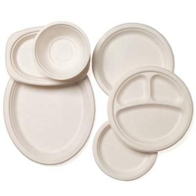 China 2022 Sustainable Disposable Materials Electroplate Disposable White Eco-Friendly Tableware Sets Disposable Plastic Dinnerware Sets for sale