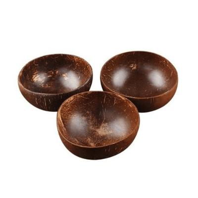 China Sustainable Polished Organic Coconut Bowl Coconut Bowl Made From 100% Natural Eco-Friendly Vegan Coconut Bowl Spoon Tableware Set for sale