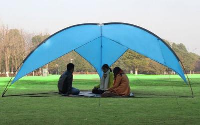 China camping tent family tent large tent ---tent supplier tent manufacturer for sale