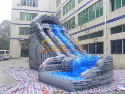 China inflatable exciting water slide with a pool for sale