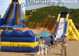 China Outdoor Giant Hippo Backyard Inflatable Water Slides / Garden Blow Up Water Slides for sale