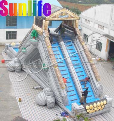 China Outdoor Double Lane Backyard Inflatable Water Slide For Pools Anti Ruptured for sale