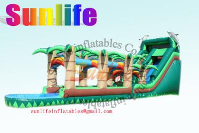 China Huge Double & Triple Stitches Outdoor Inflatable Long Water Slide With Bouncy Pool for sale