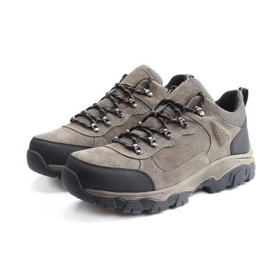 China Professional Hiking Waterproof Shoes Men Safety Shoes Waterproof Mountain Hiking Shoes for sale