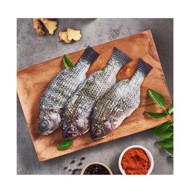 China China Best Quality NATURE Manufacturer Supply Good Price Salt Tilapia Jelly Whole Tilapie for sale