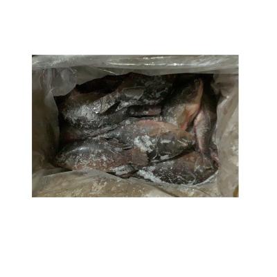 China NATURE China Farm Raised Frozen Fish Tilapia for sale