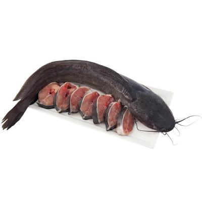 China New NATURE Catching Fresh Whole Round Big Size Packaging China Frozen Catfish for sale