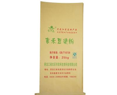 China Recyclable Paper-Plastic Bags/&PP Compound Paper Bags/PP Woven Inner Bags Paper Bag for sale